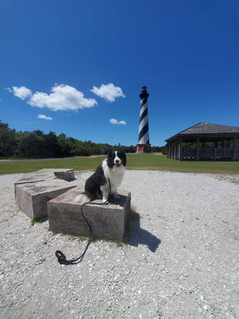 Dog friendly The Cape Hatteras Lighthouse, OBX Dog friendly The Cape Hatteras Lighthouse, OBX