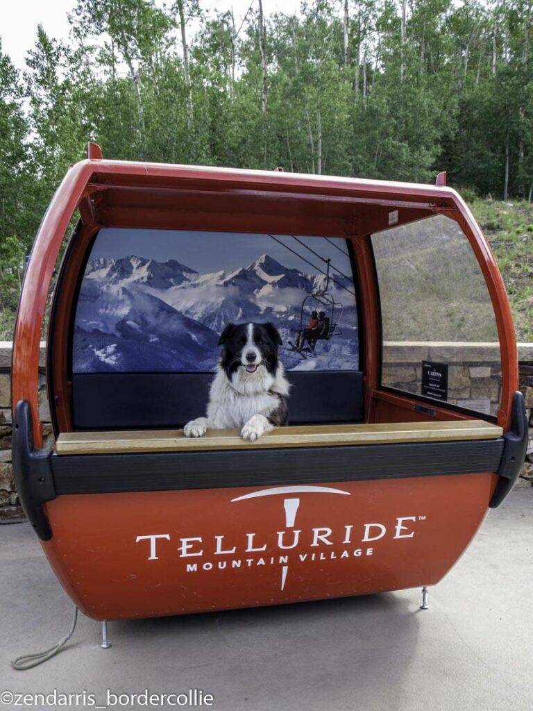 Dog-friendly gondola in Telluride Colorado