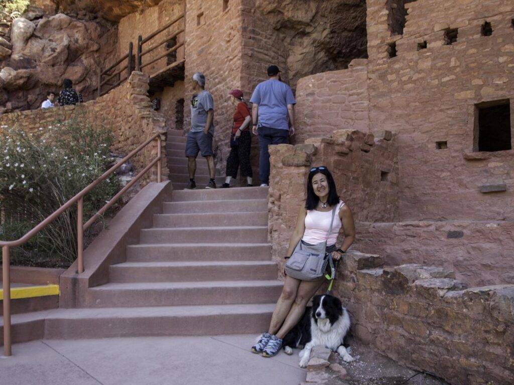 Dog-friendly open museum