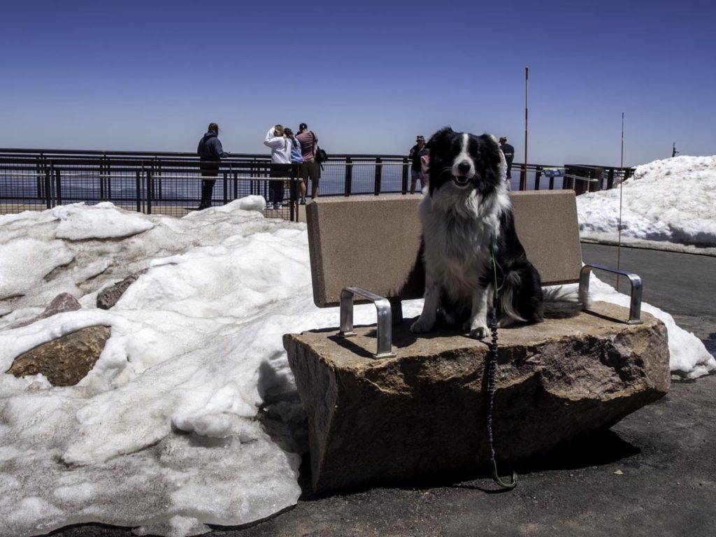 Pikes Peak, is a must-see in a Colorado road trip