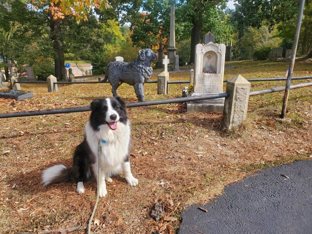 Iron Dog, dog friendly Hollywood Cemetery in Richmond, Virginia