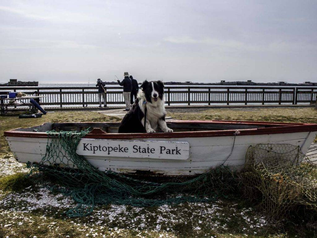 Kiptopeke State Park - a must-stop on east Coast dg travel