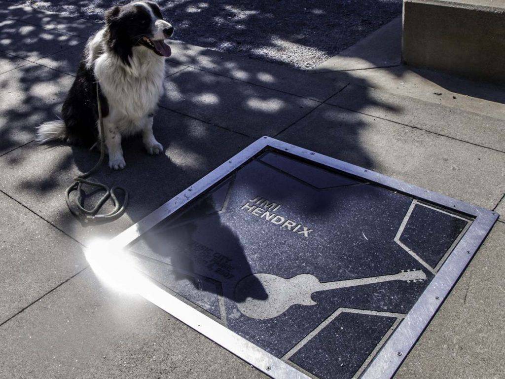 dog-friendly Nashville, Tennessee