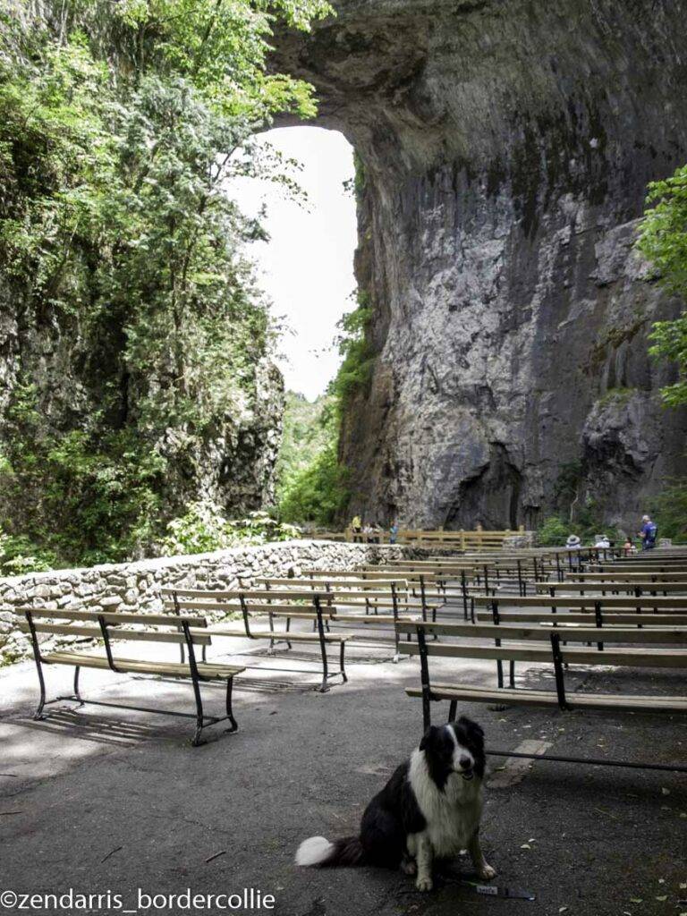 dog vacation Virginia, visit Natural Bridge State Park