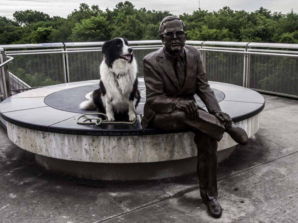 Malcolm W Martin Memorial Park in dog-friendly St Louis