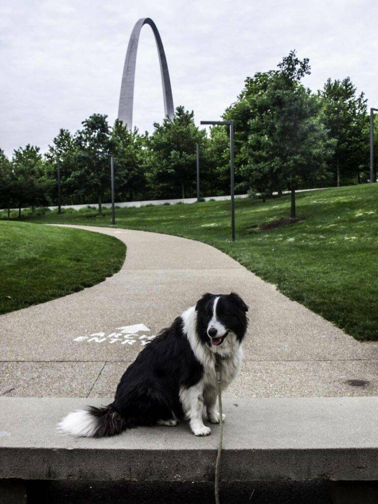 dog-friendly St Louis, Gateway Arch