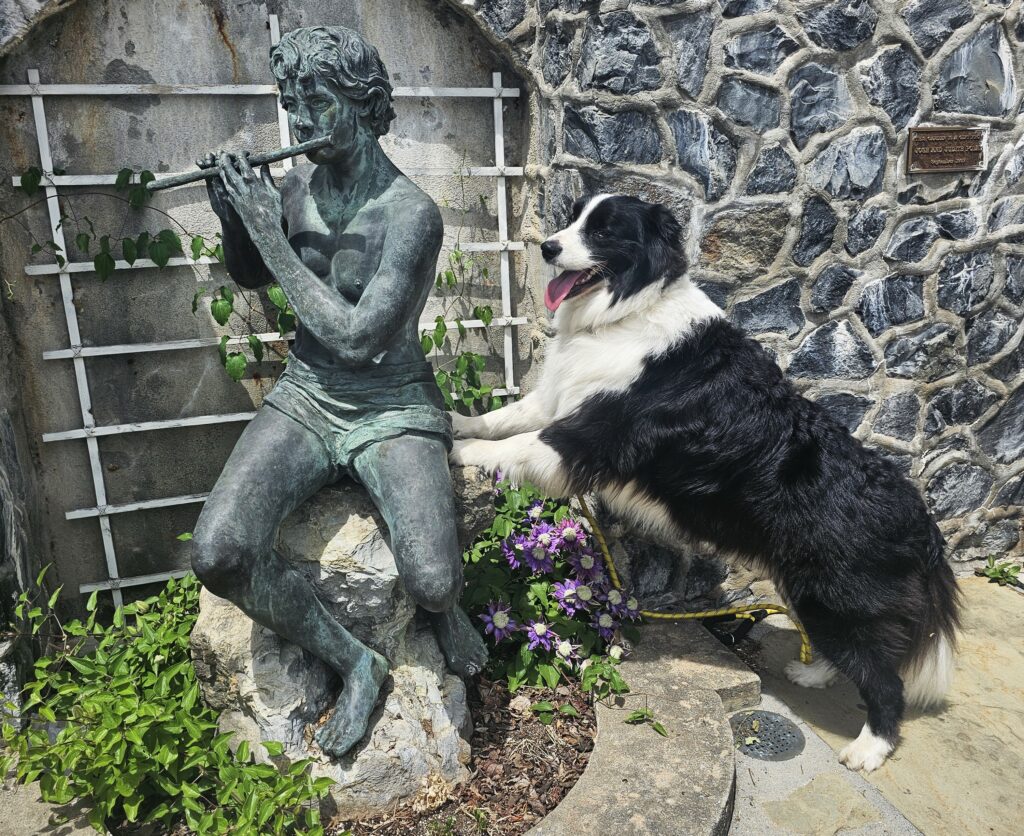 Places West Virginia, Carnegie Hall, Lewisburg