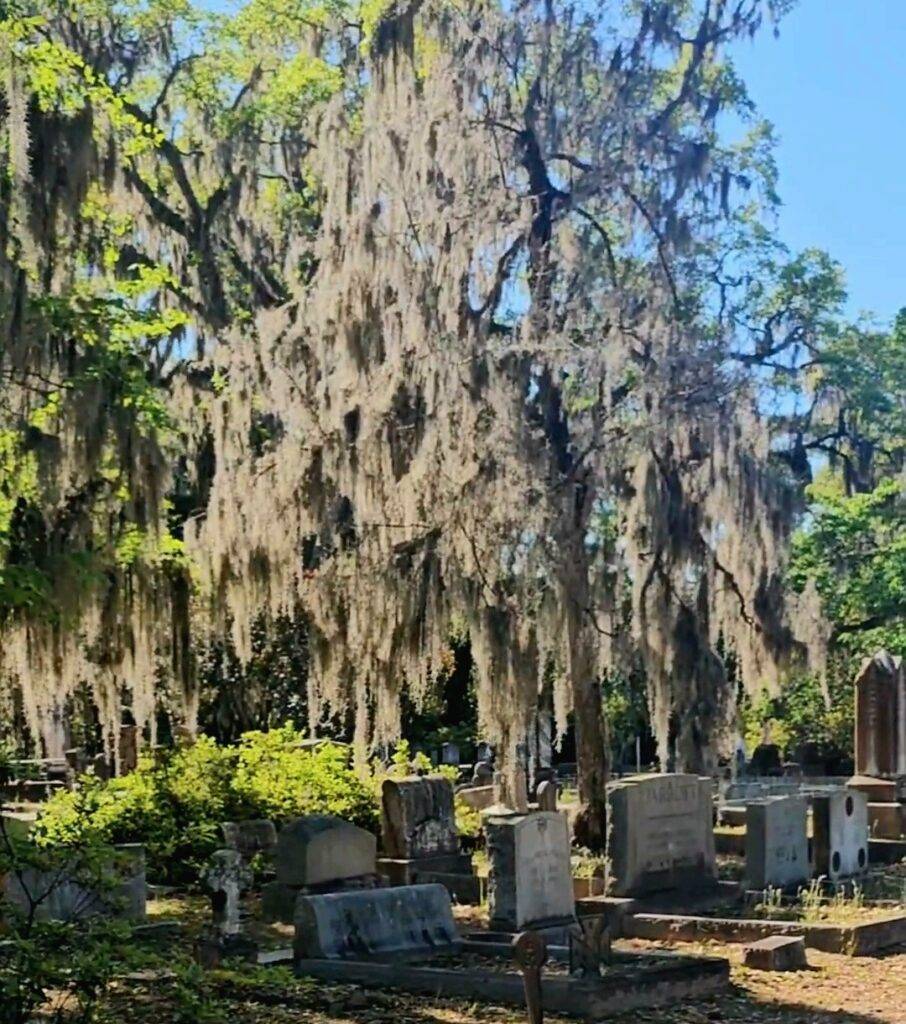 Pet-friendly Savannah Georgia
