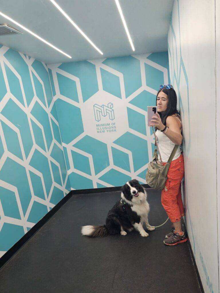 Dog-friendly NYC and Museum of Illusions