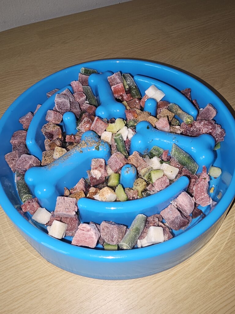 Raw food as a better choice for feeding dogs