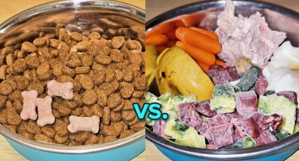 processed dog food vs raw