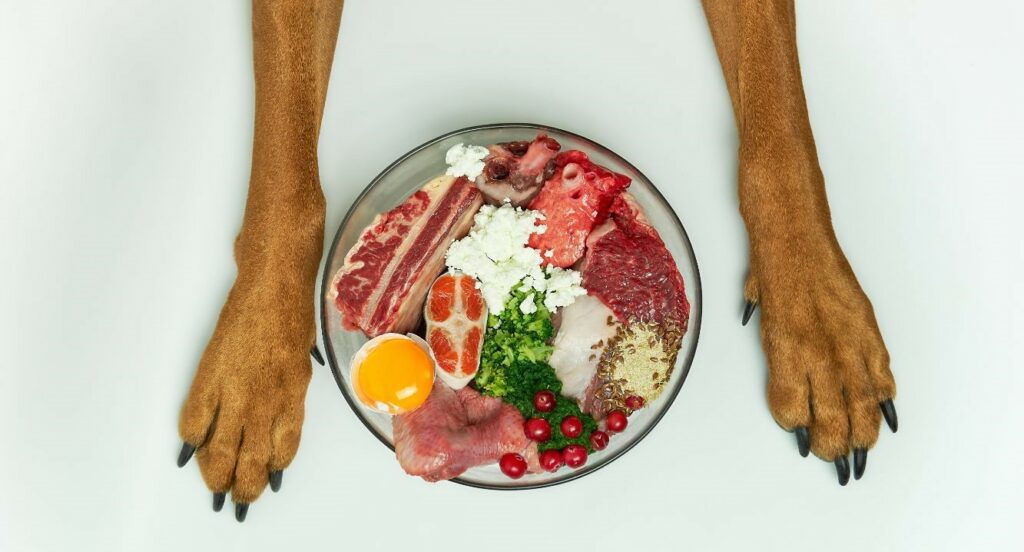 raw dog food